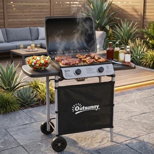 Propane gas barbecue grill - barbecue, 2