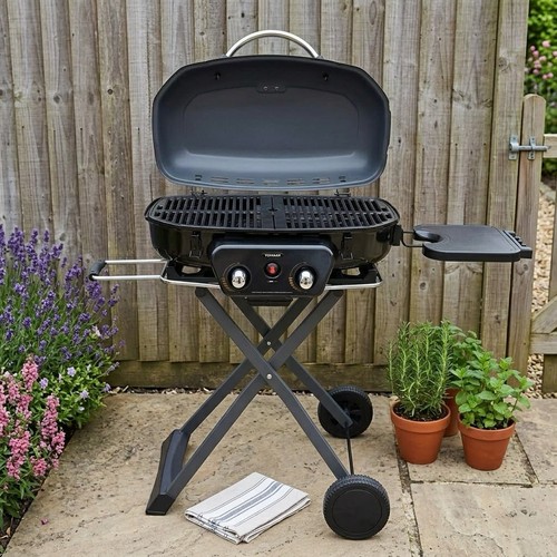 Gas bbq grill - gas, portable