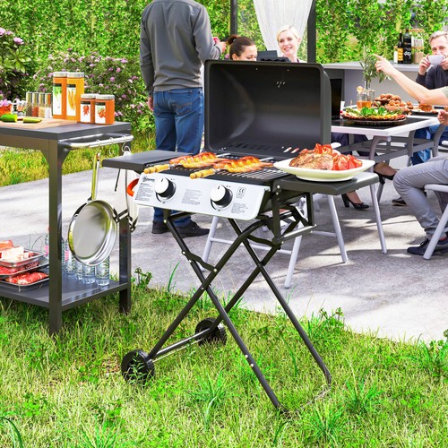 Portable foldable gas bbq - gas,